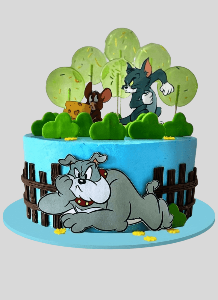 Beauteous Tom and Jerry Cake