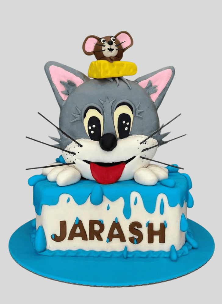 Charming Tom and Jerry Cake