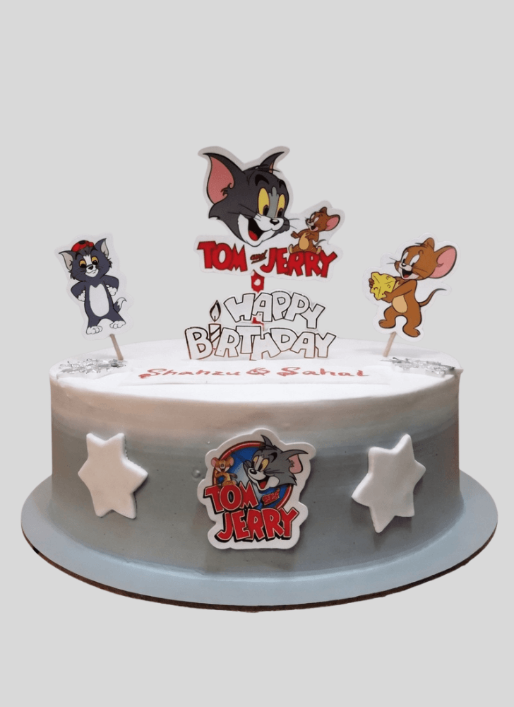 Exquisite Tom and Jerry Cake