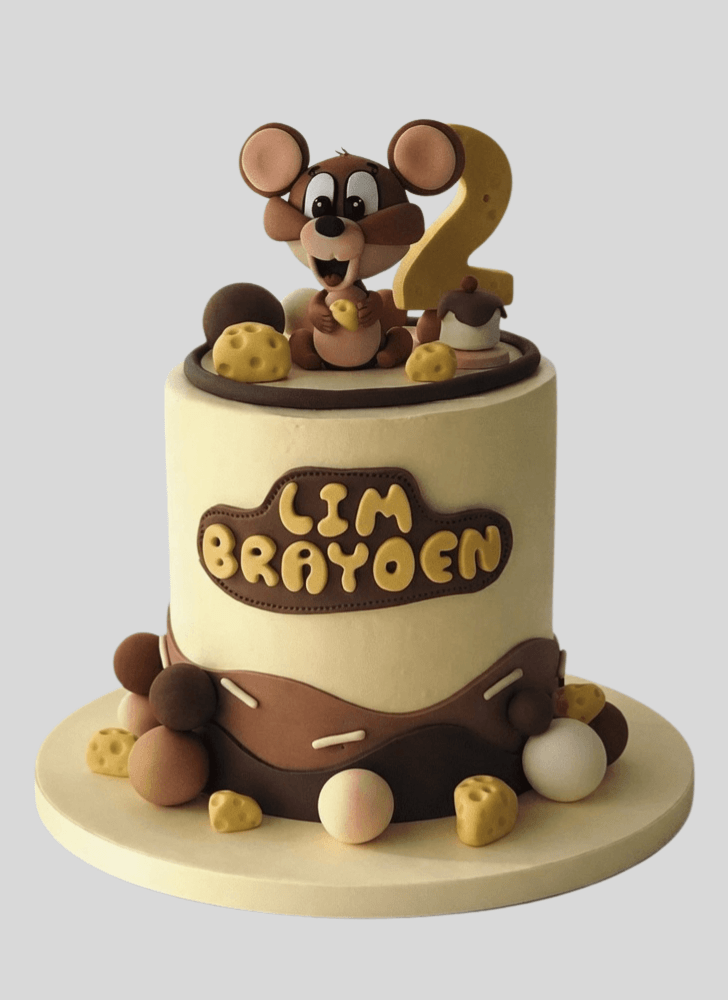 Fair Tom and Jerry Cake