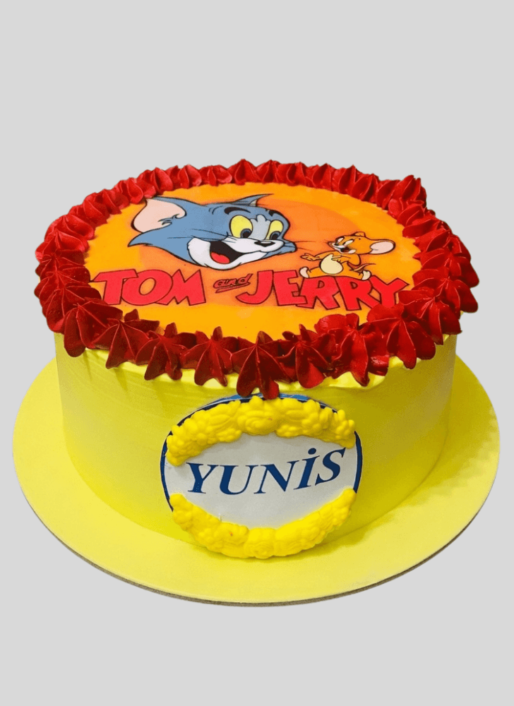 Good Looking Tom and Jerry Cake