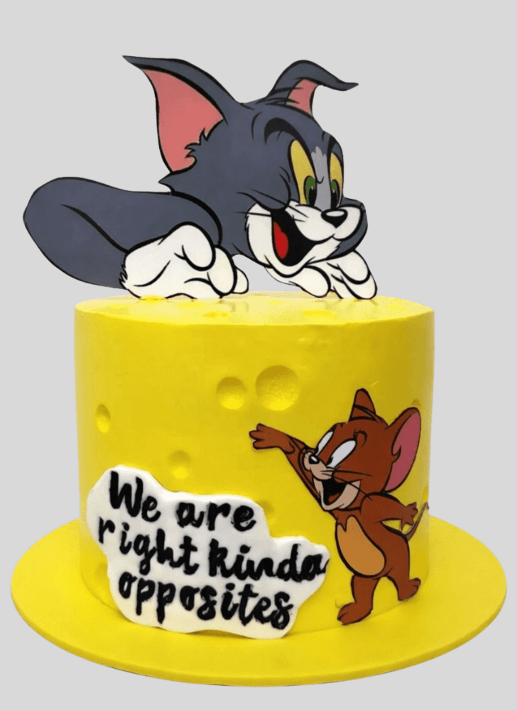 Handsome Tom and Jerry Cake