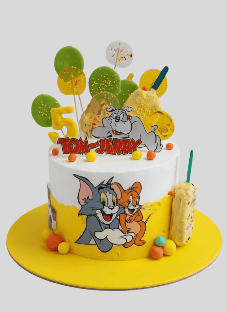Magnetic Tom and Jerry Cake