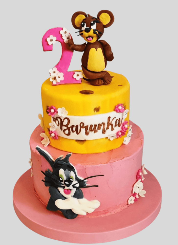 Nice Tom and Jerry Cake