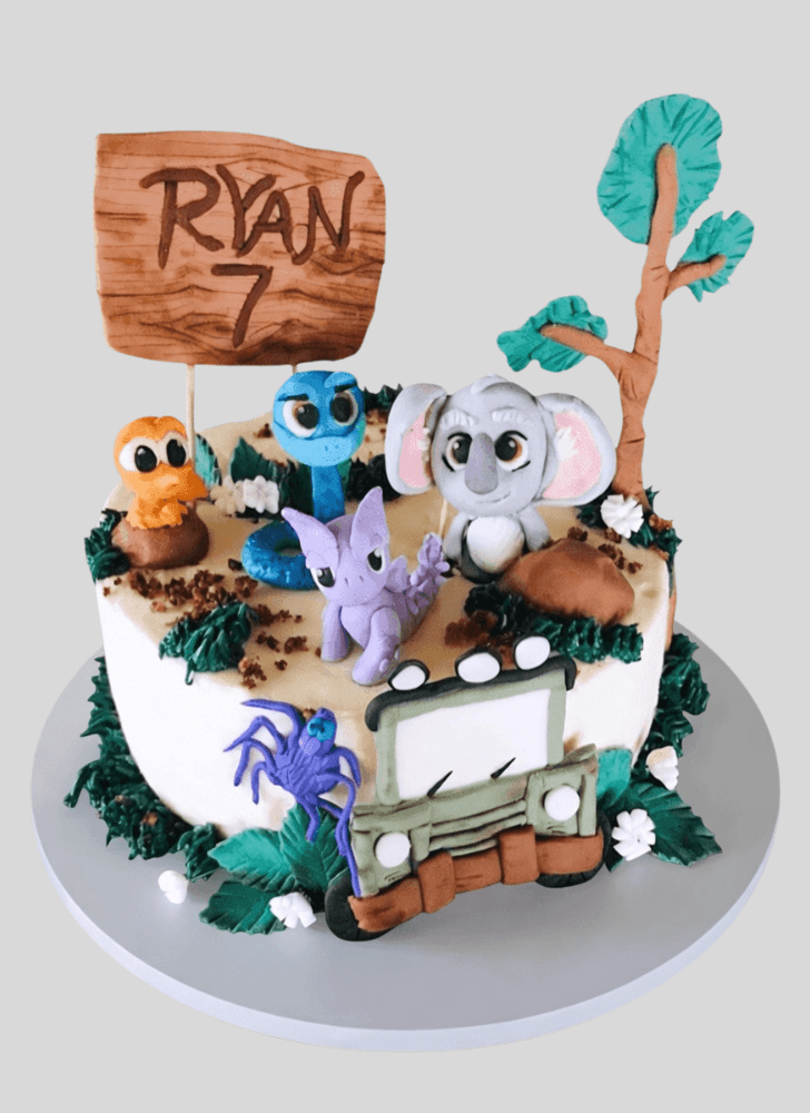 Charming Back to the Outback Cake