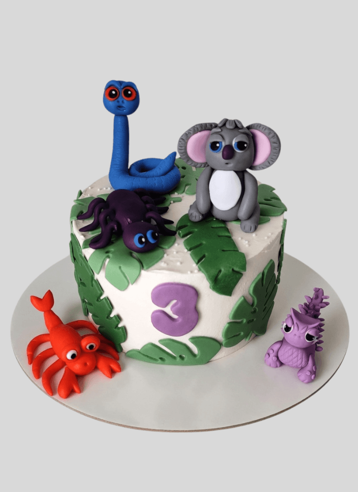 Comely Back to the Outback Cake