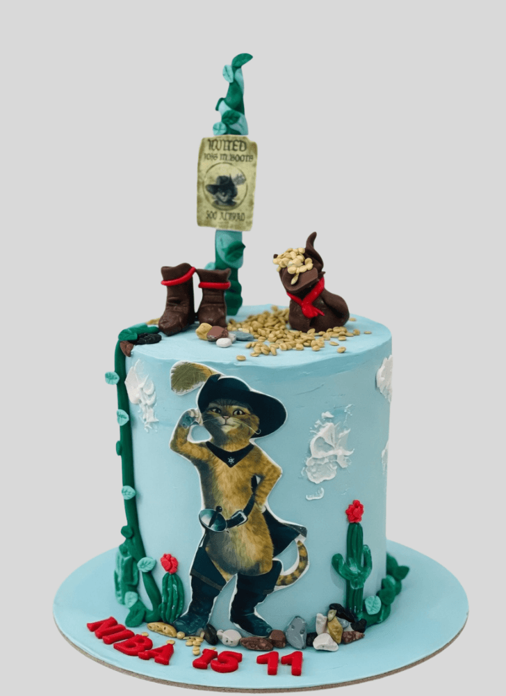 Admirable Puss in Boots Cake Design