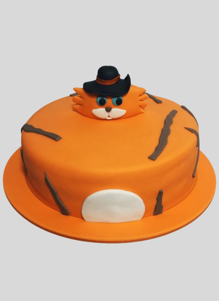 Adorable Puss in Boots Cake