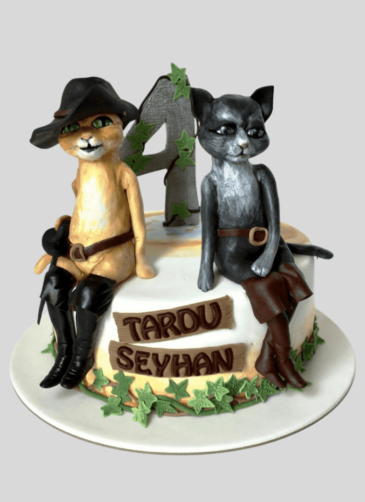 Captivating Puss in Boots Cake