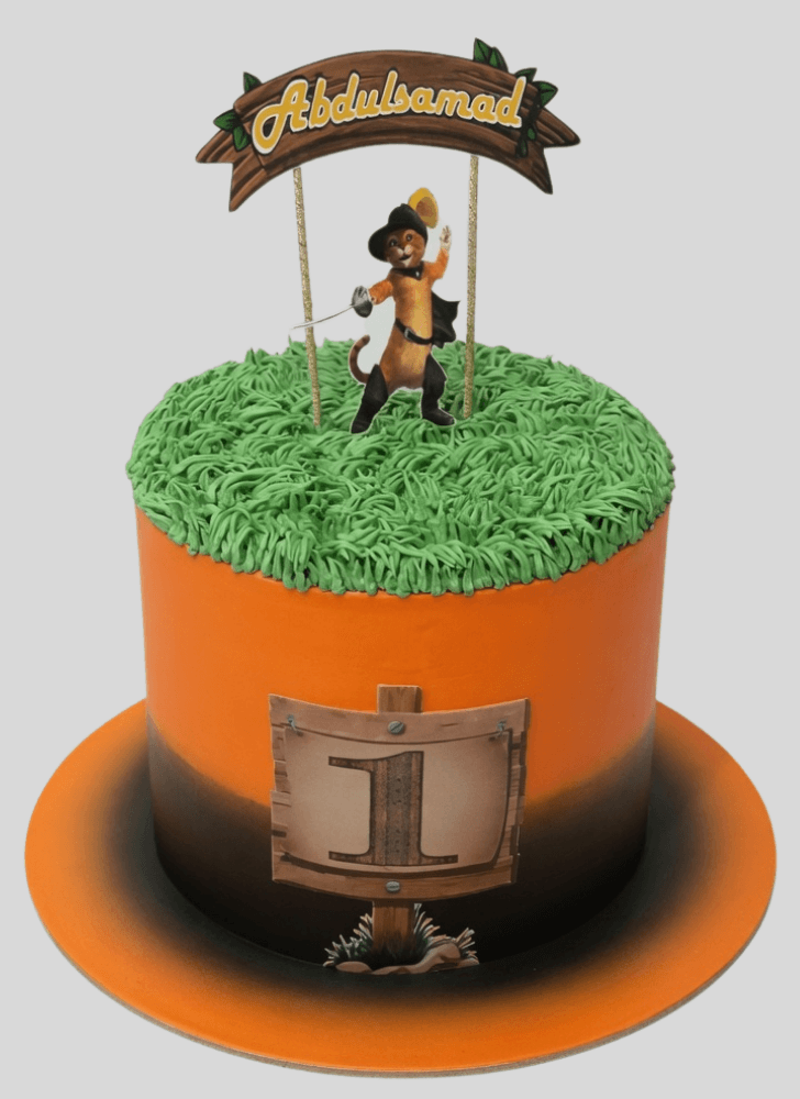 Comely Puss in Boots Cake