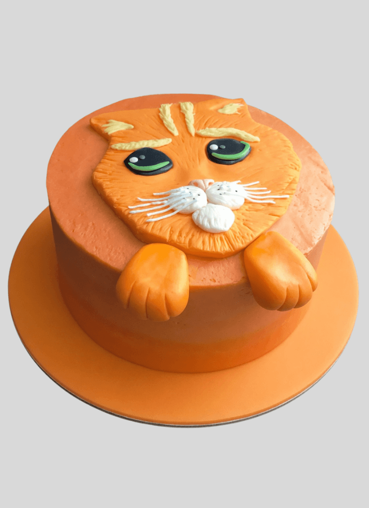 Cute Puss in Boots Cake