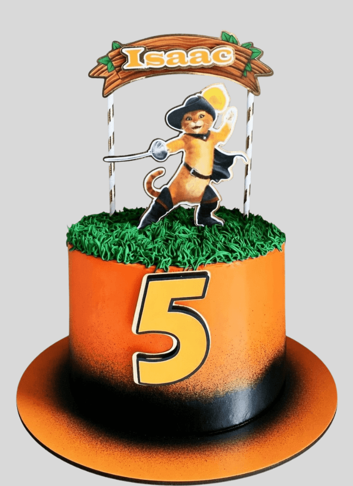 Divine Puss in Boots Cake