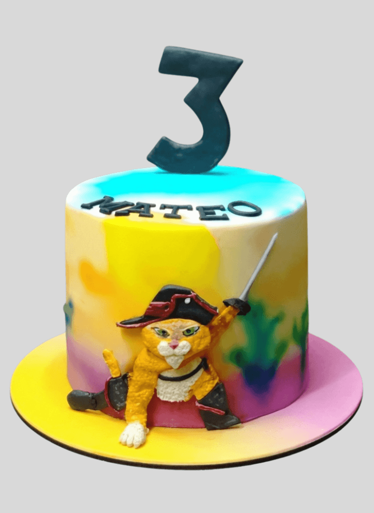 Elegant Puss in Boots Cake