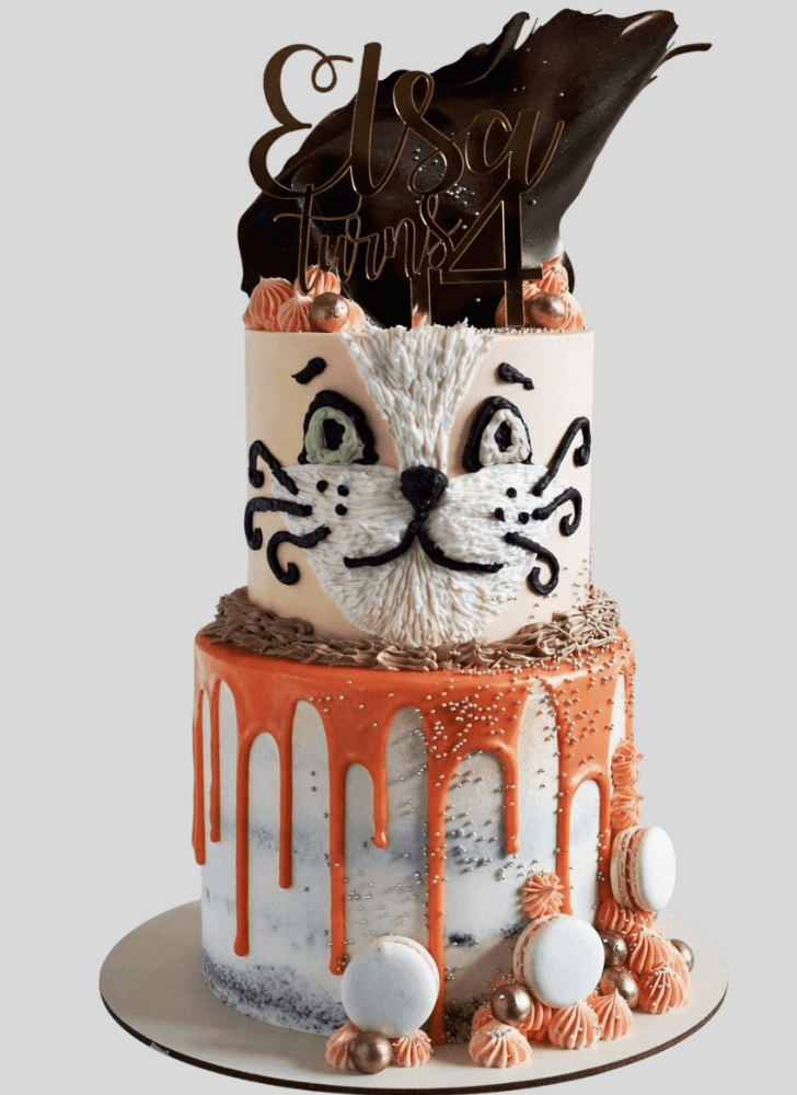 Excellent Puss in Boots Cake