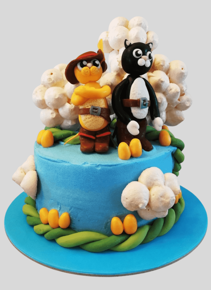 Exquisite Puss in Boots Cake