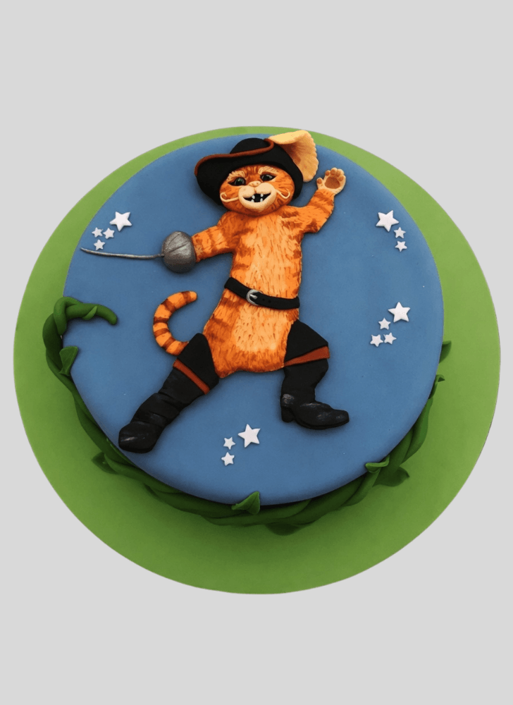 Fine Puss in Boots Cake