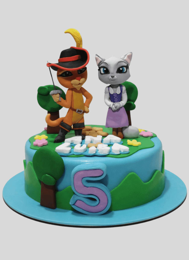 Gorgeous Puss in Boots Cake