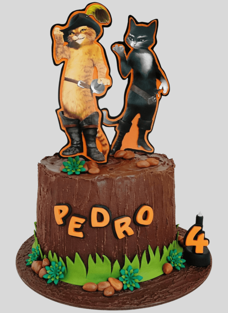 Handsome Puss in Boots Cake