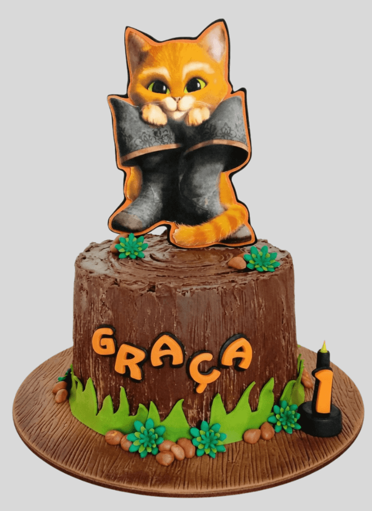 Ideal Puss in Boots Cake