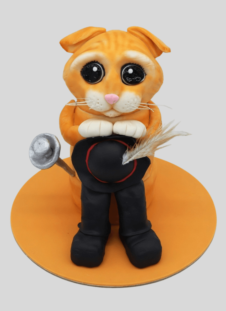 Magnetic Puss in Boots Cake