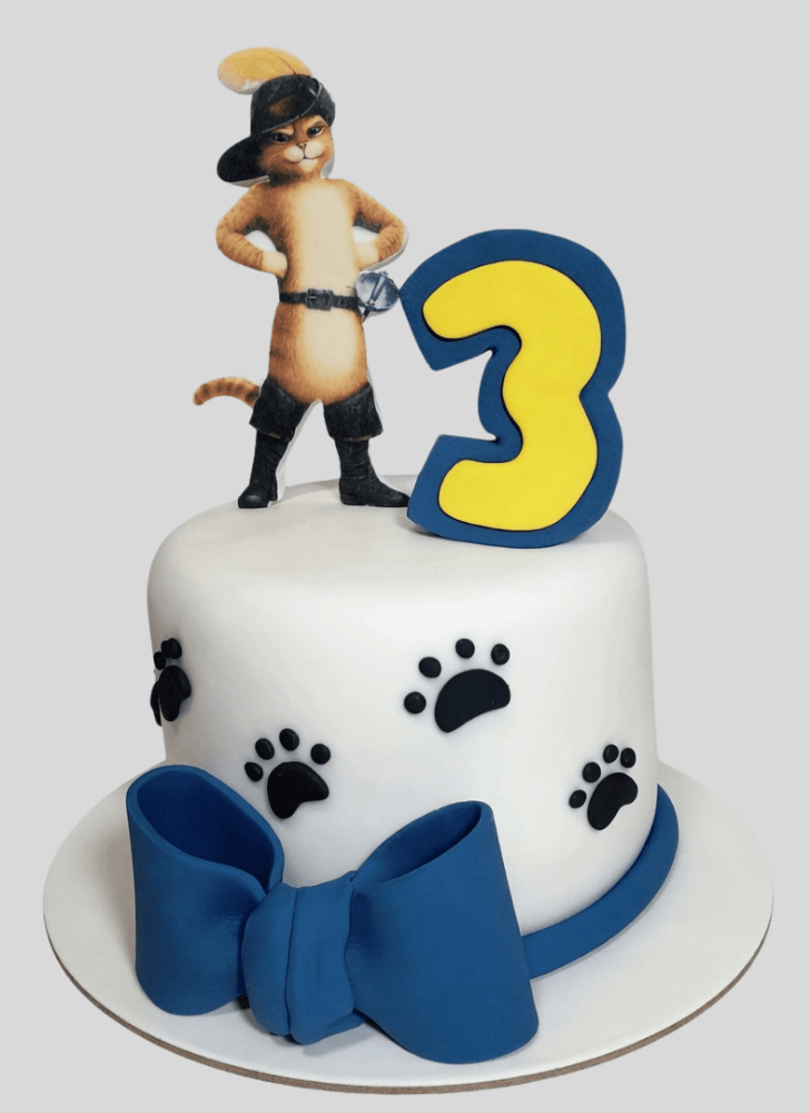 Magnificent Puss in Boots Cake