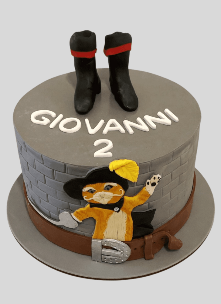 Nice Puss in Boots Cake