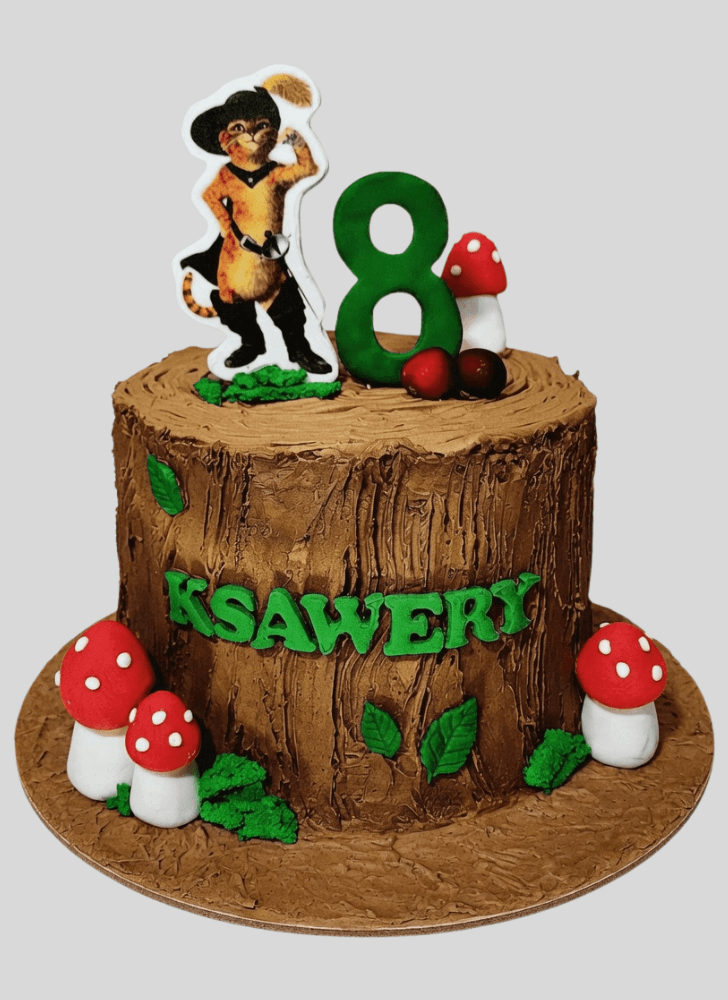 Radiant Puss in Boots Cake