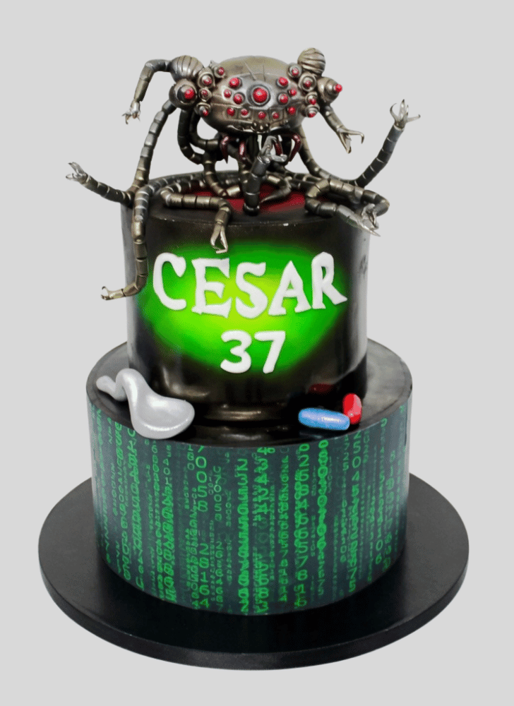 Charming Matrix Cake