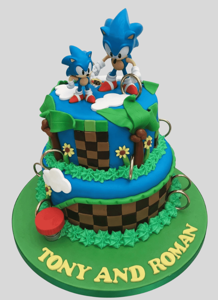 Divine Sonic the Hedgehog Cake