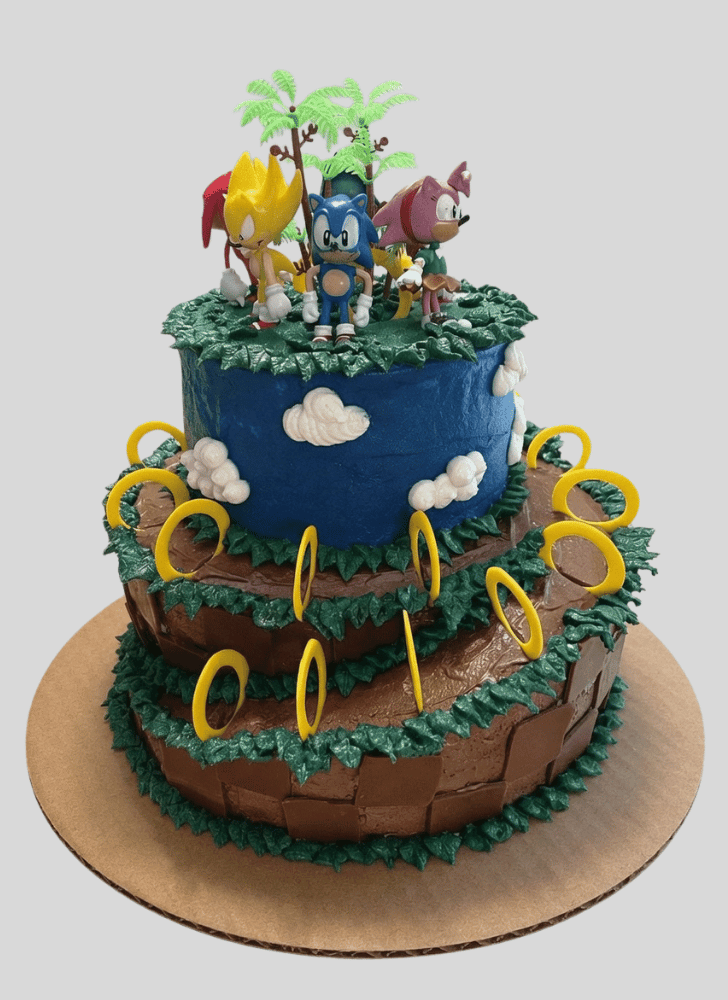 Magnetic Sonic the Hedgehog Cake