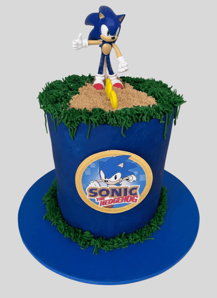 Slightly Sonic the Hedgehog Cake