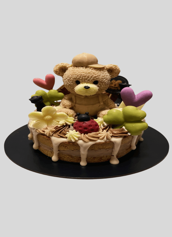 Magnetic Teddy Bear Cake