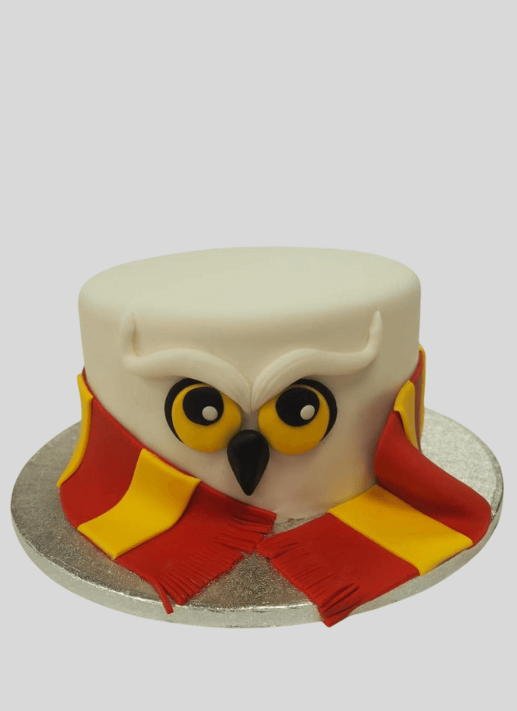 Admirable Hedwig Cake Design