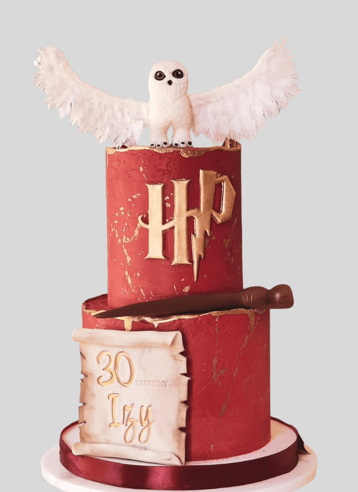 Adorable Hedwig Cake