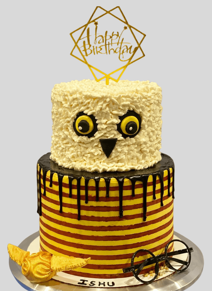 Alluring Hedwig Cake