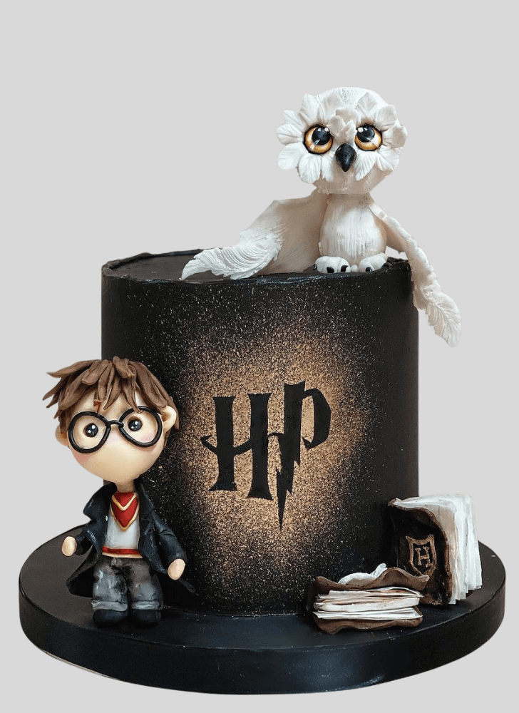 Appealing Hedwig Cake