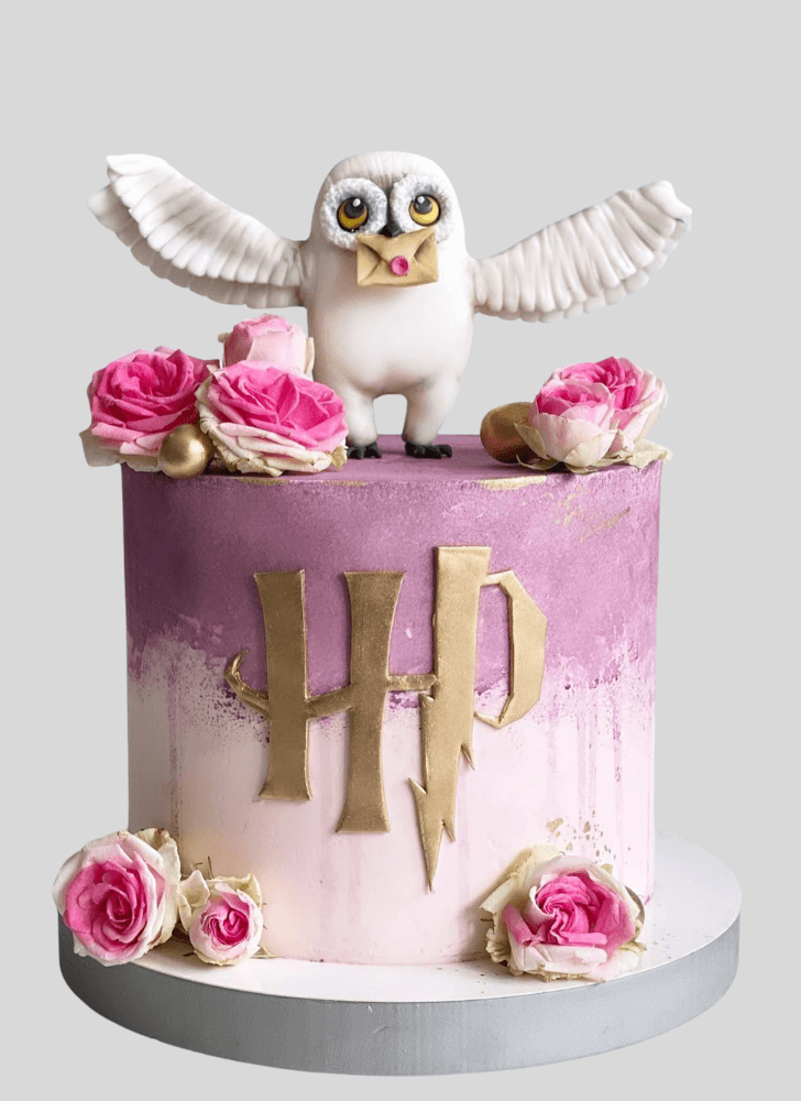Bewitching Hedwig Cake