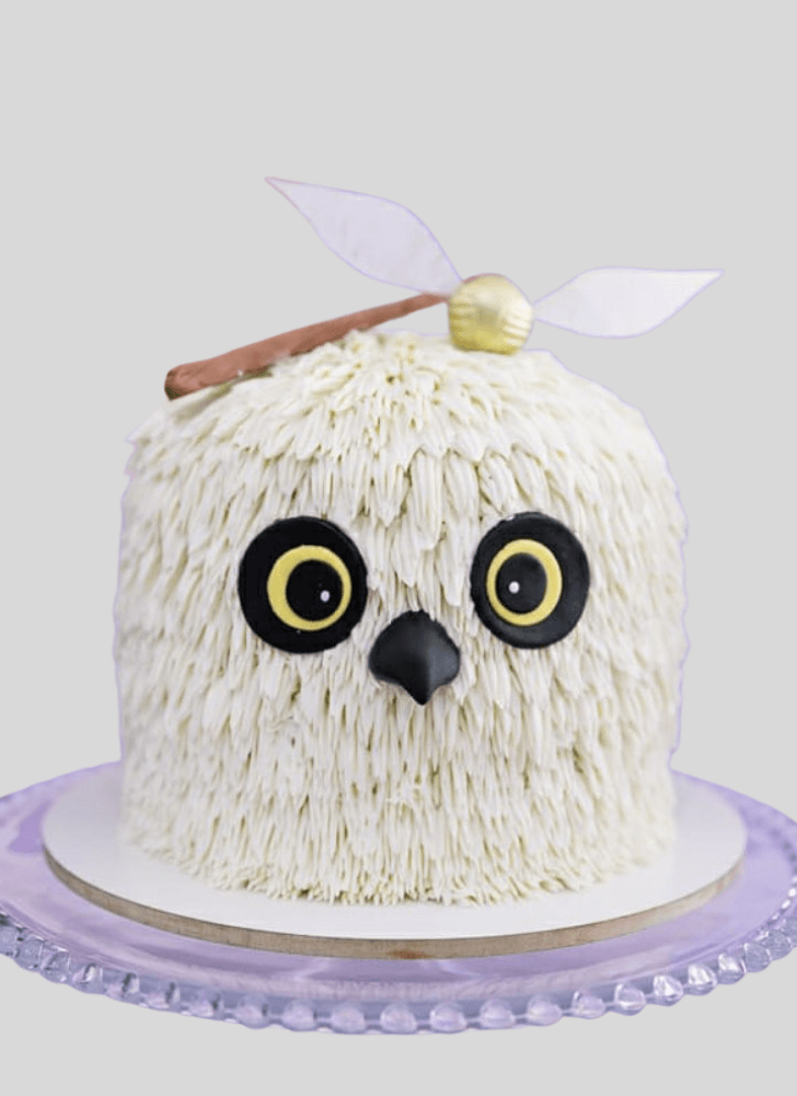 Cute Hedwig Cake