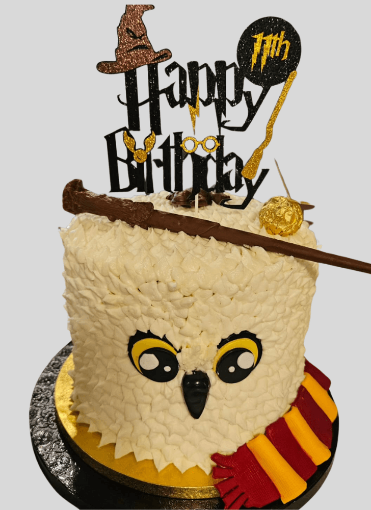 Dazzling Hedwig Cake