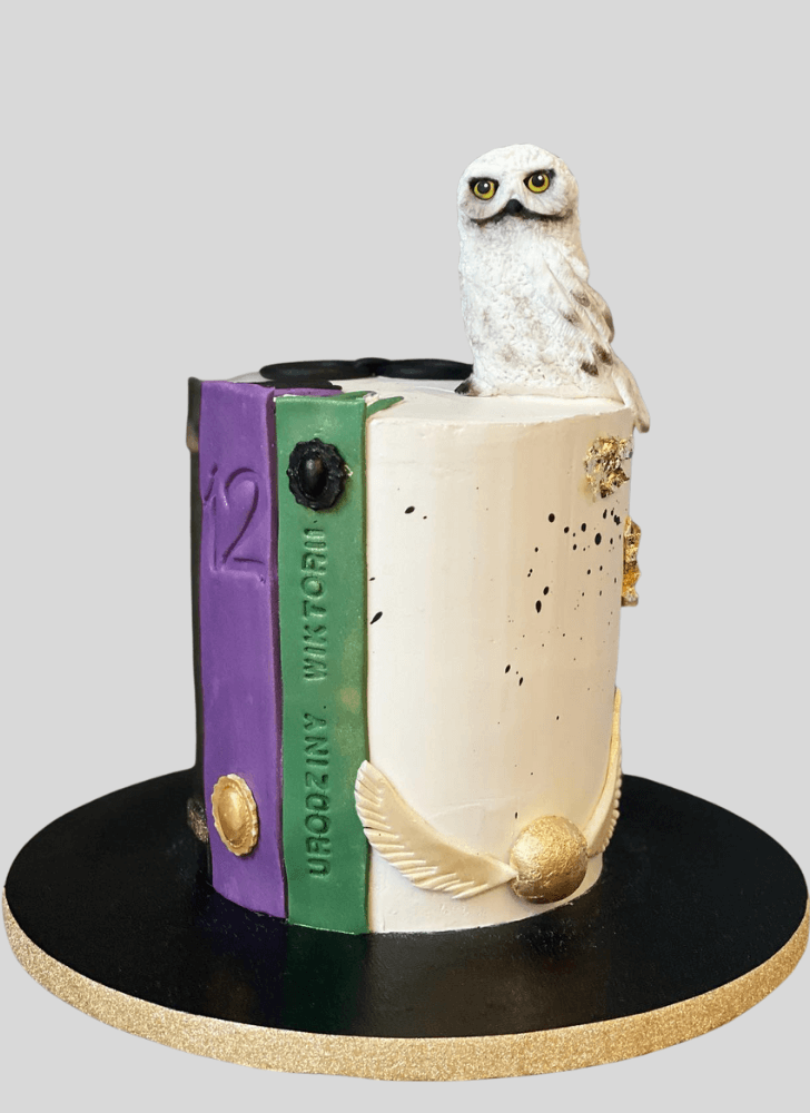 Enthralling Hedwig Cake