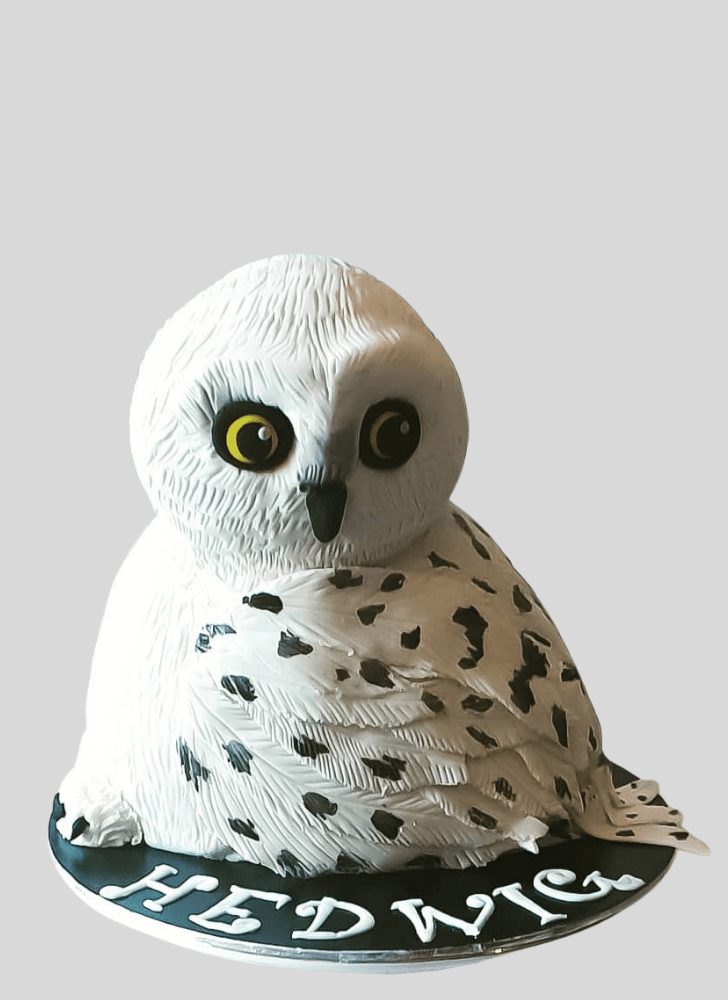 Fair Hedwig Cake