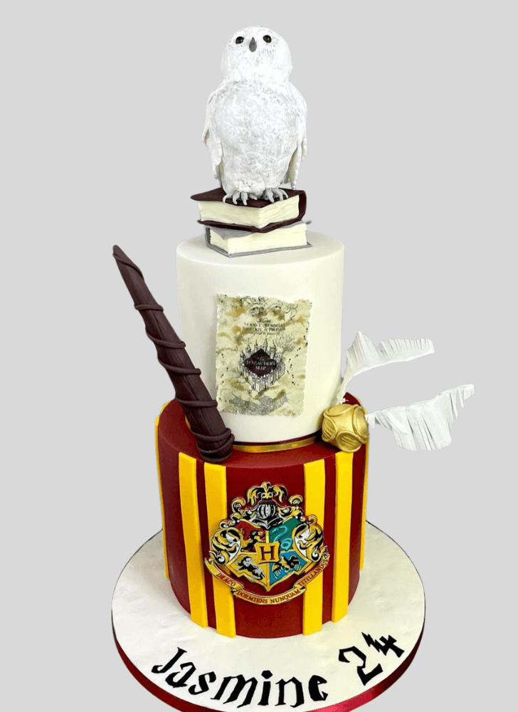 Fetching Hedwig Cake