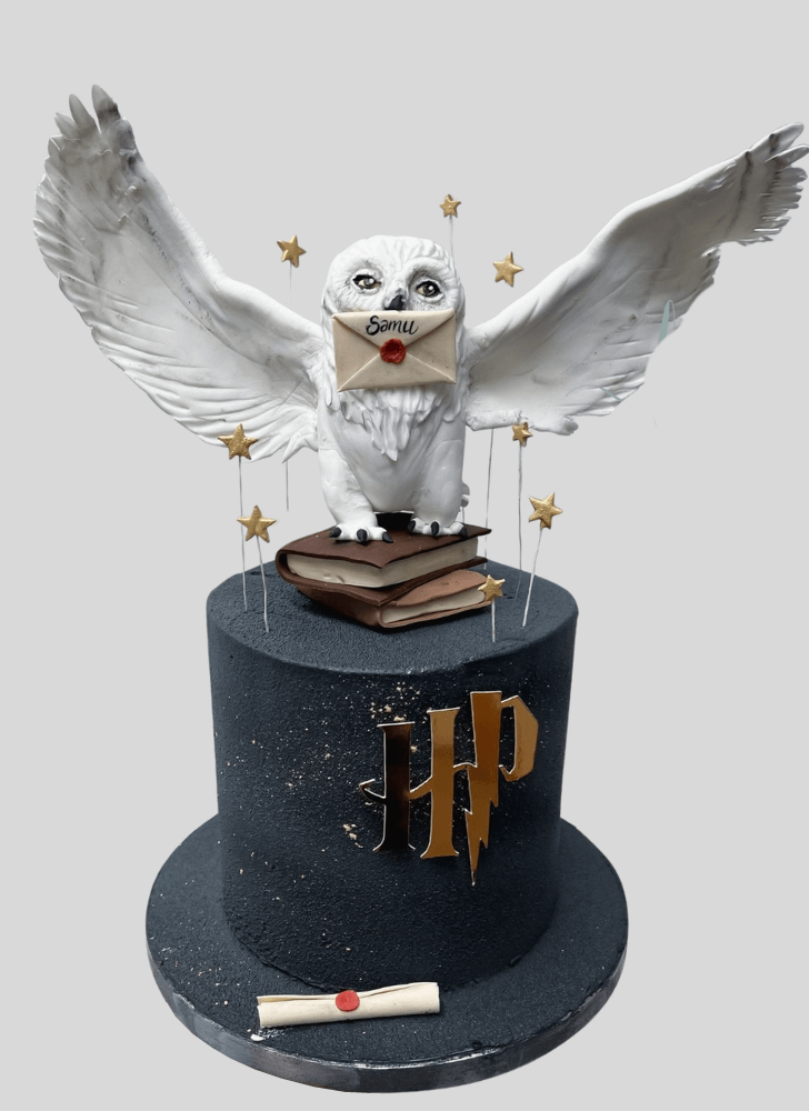 Good Looking Hedwig Cake