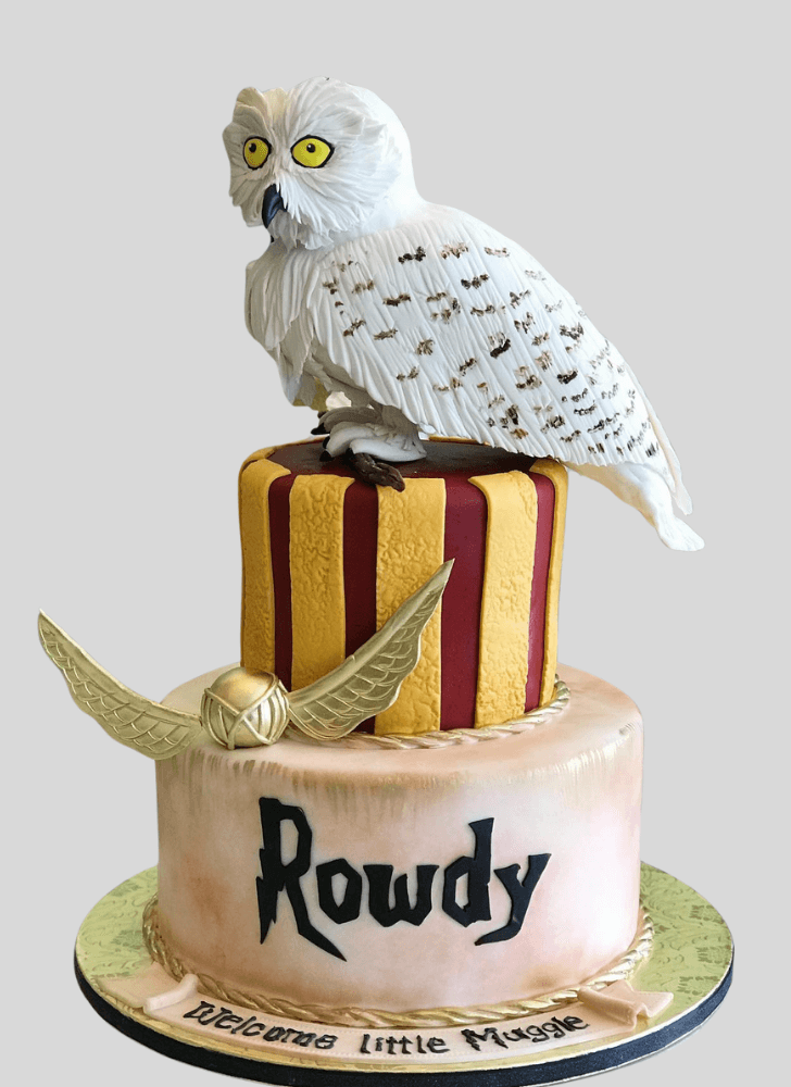 Handsome Hedwig Cake