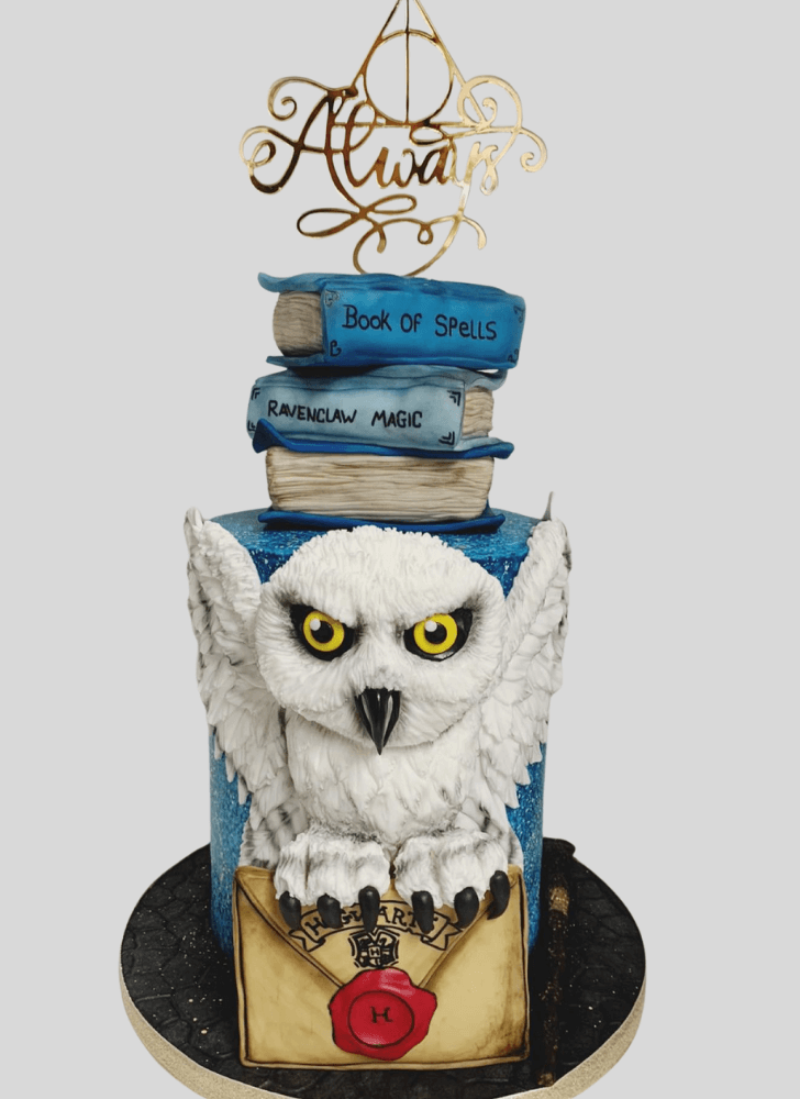 Inviting Hedwig Cake
