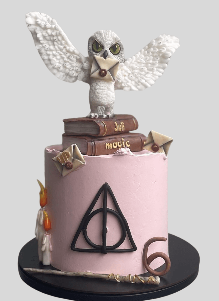 Magnetic Hedwig Cake