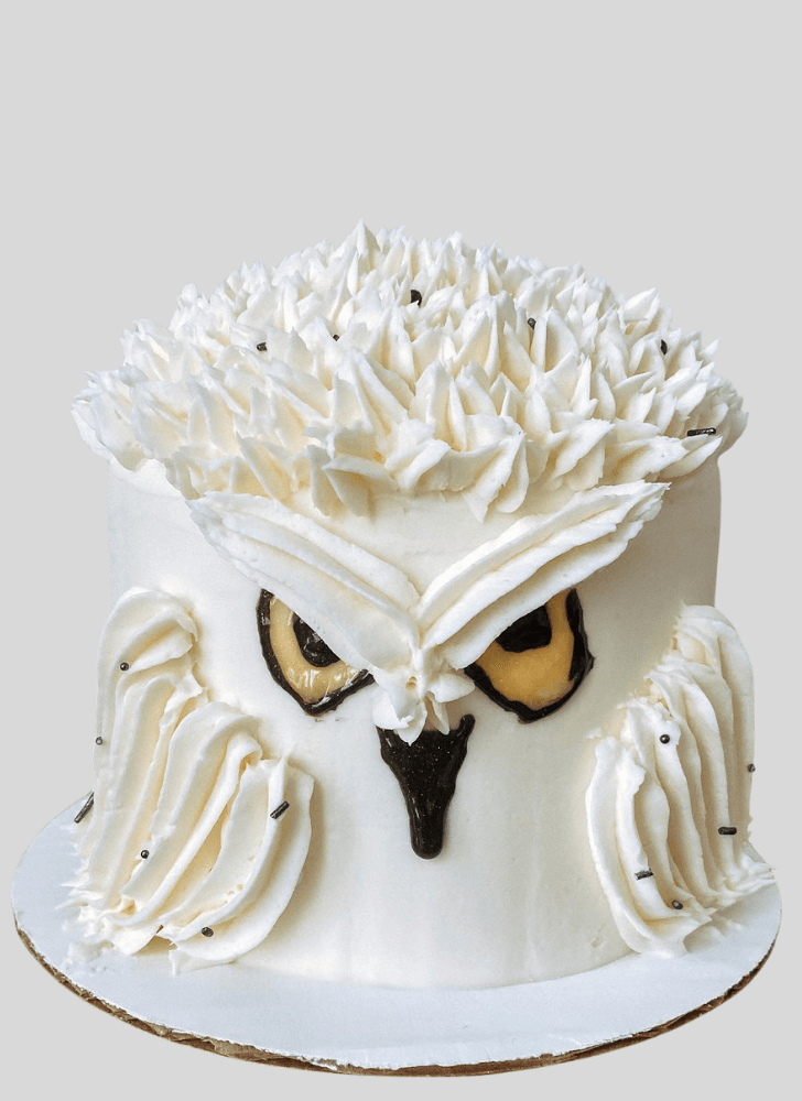 Magnificent Hedwig Cake