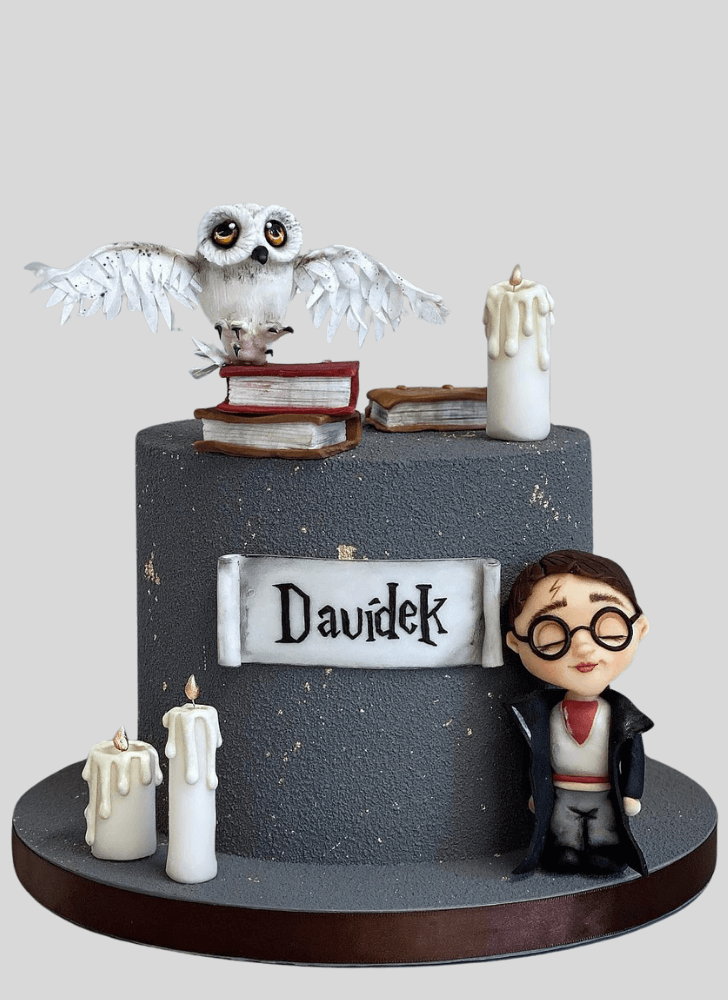 Nice Hedwig Cake