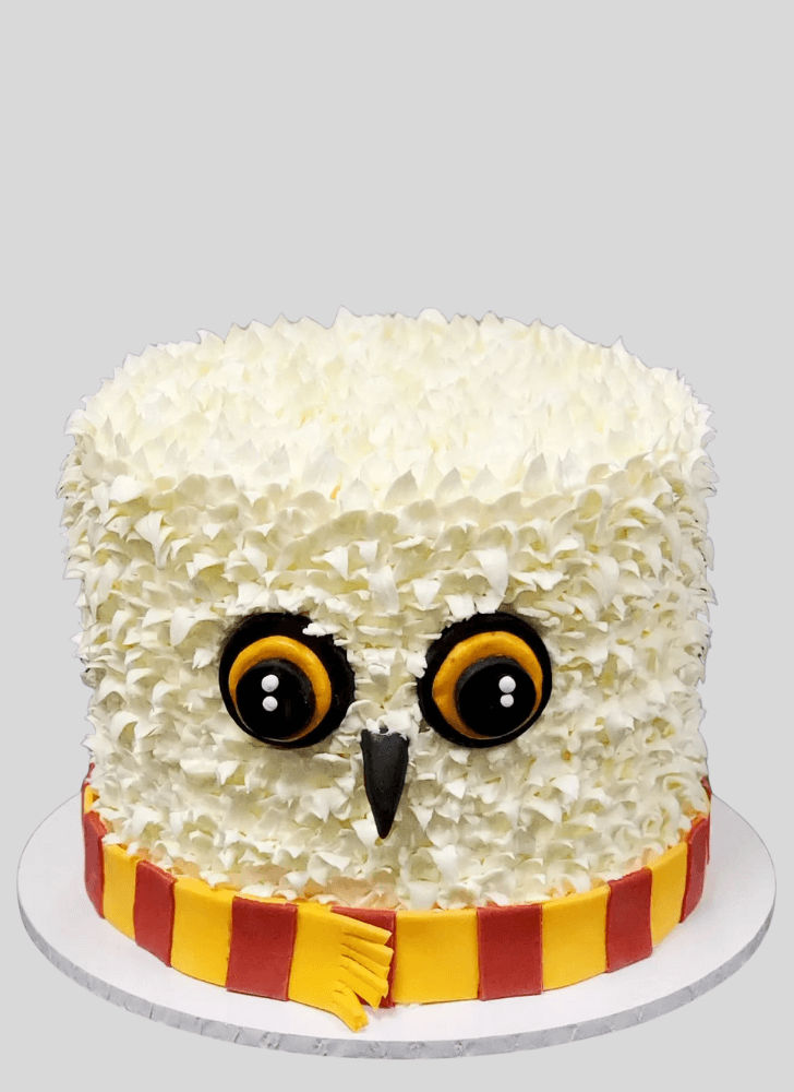 Pleasing Hedwig Cake
