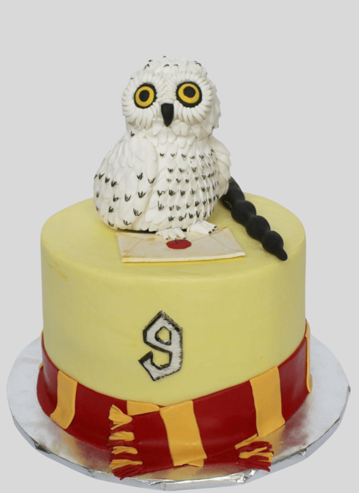 Ravishing Hedwig Cake